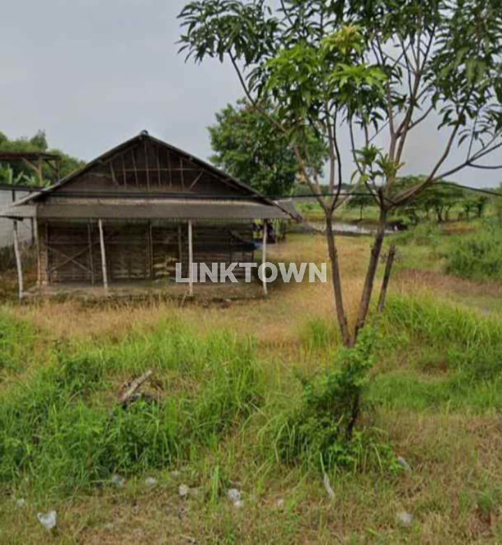 Dijual Tanah Dapat Gudang Cocok untuk Industri dan Perumahan di Wringinanom Gresik