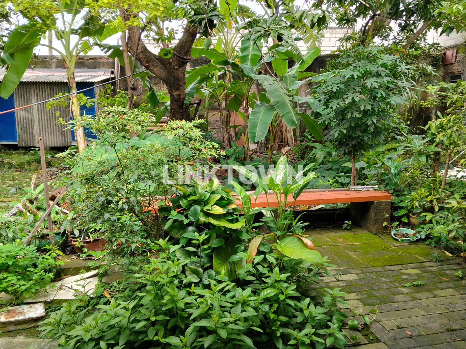Rumah dengan Lokasi Strategis di Kedung Sroko Selangkah Dari Unair A