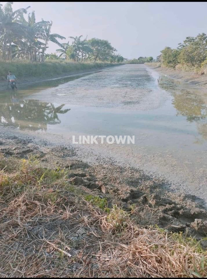 Termurah Tanah Tambak Cocok untuk Usaha Perikanan atau Pemancingan di Bungah Gresik