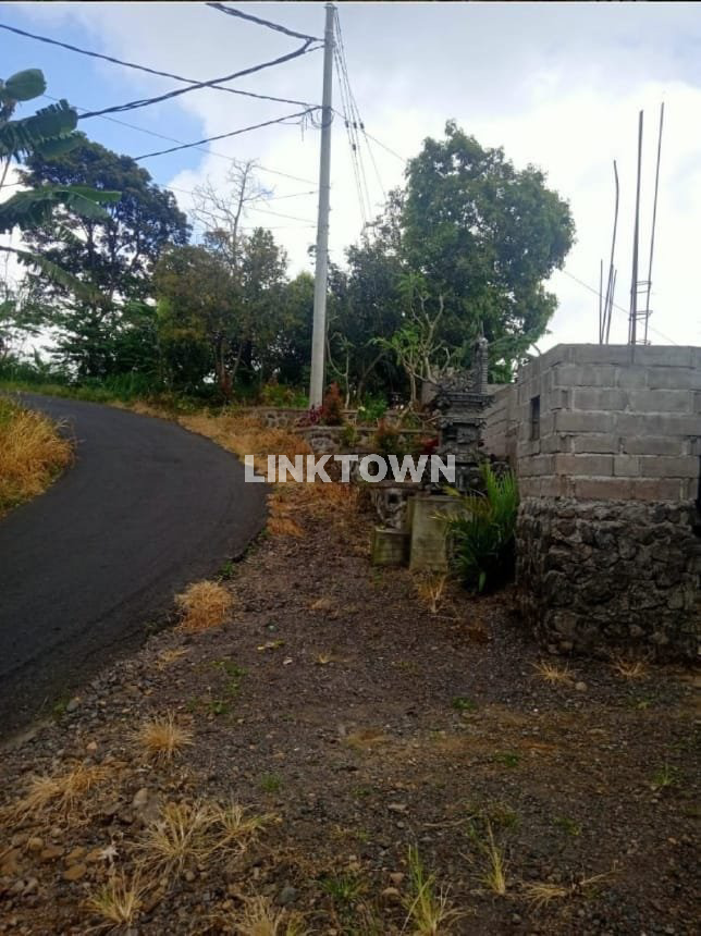 Dijual tanah 6,5ha (651,20 are) di kawasan wisata TURYAPADA TOWER dekat Bedugul Bali