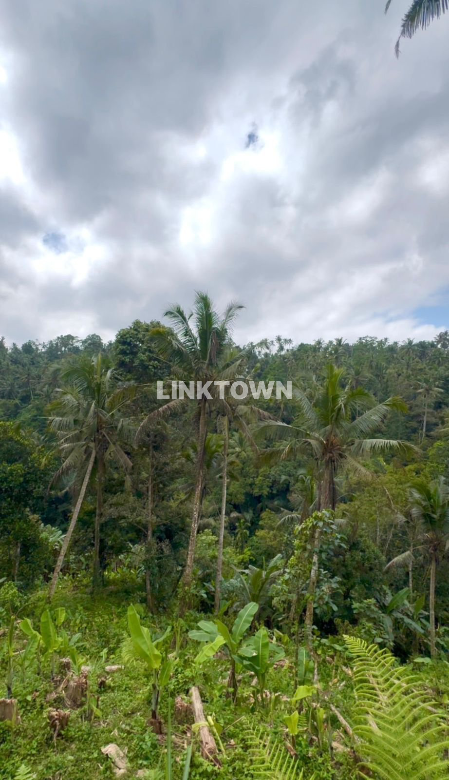 Dijual Tanah 8.220m² di Ubud Tegallalang