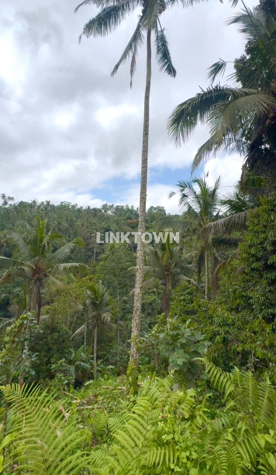 Dijual Tanah 8.220m² di Ubud Tegallalang