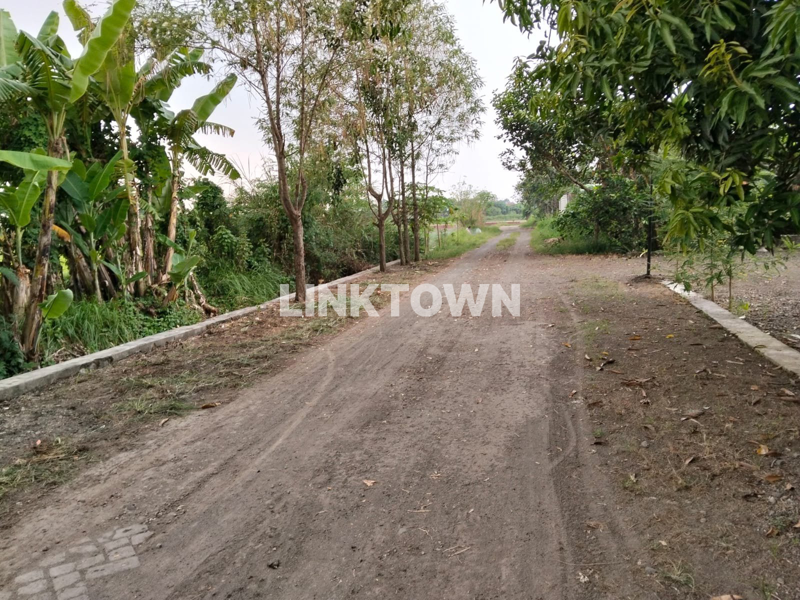 Dijual Lahan Zona Perumahan Wonokasian Sidoarjo
