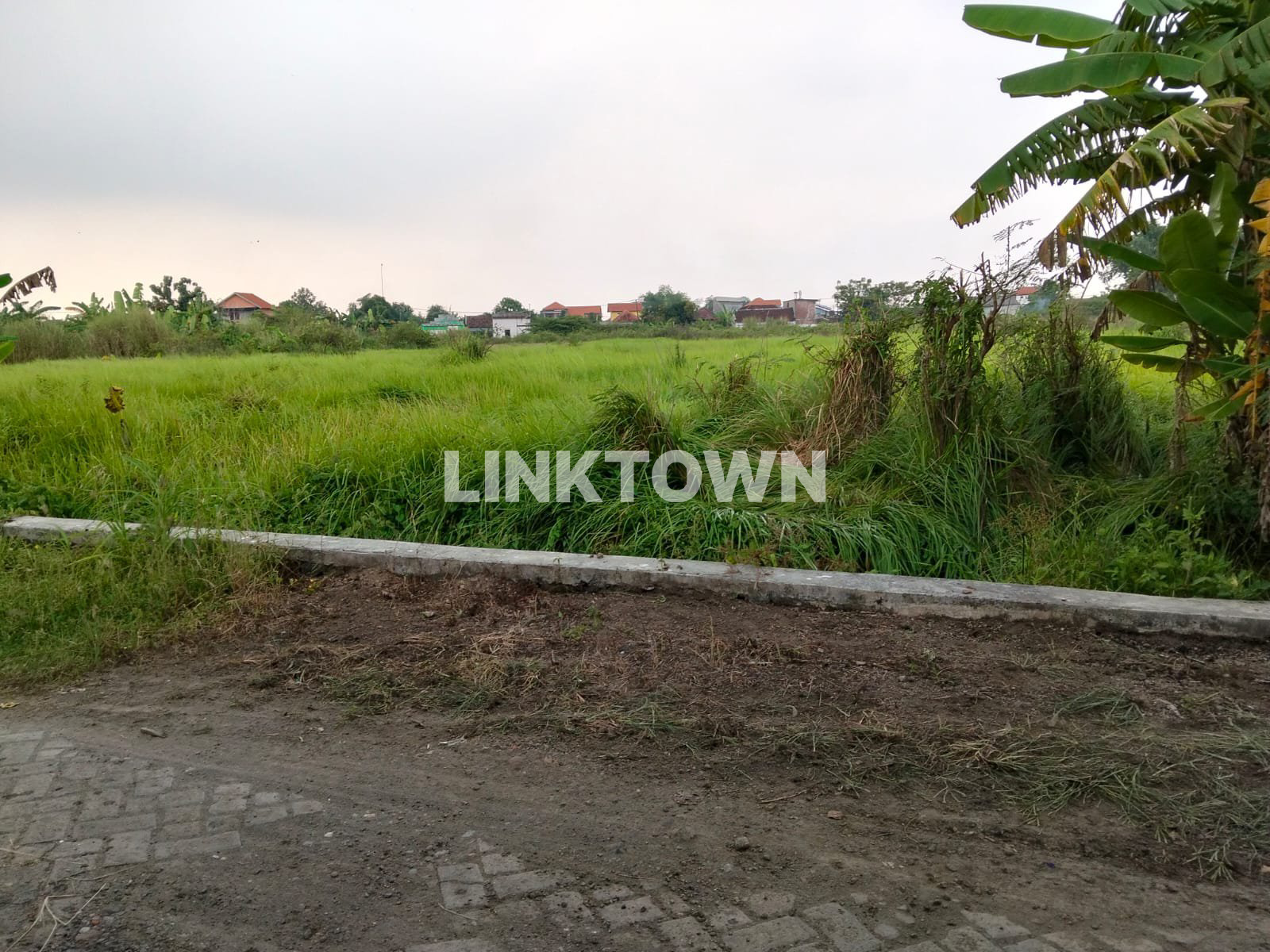 Dijual Lahan Zona Perumahan Wonokasian Sidoarjo Dijual Lahan Zona Perumahan Wonokasian Sidoarjo