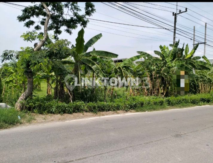 Dijual Tanah Cocok untuk Gudang atau Pabrik di Kawasan Raya Kutorejo Mojokerto