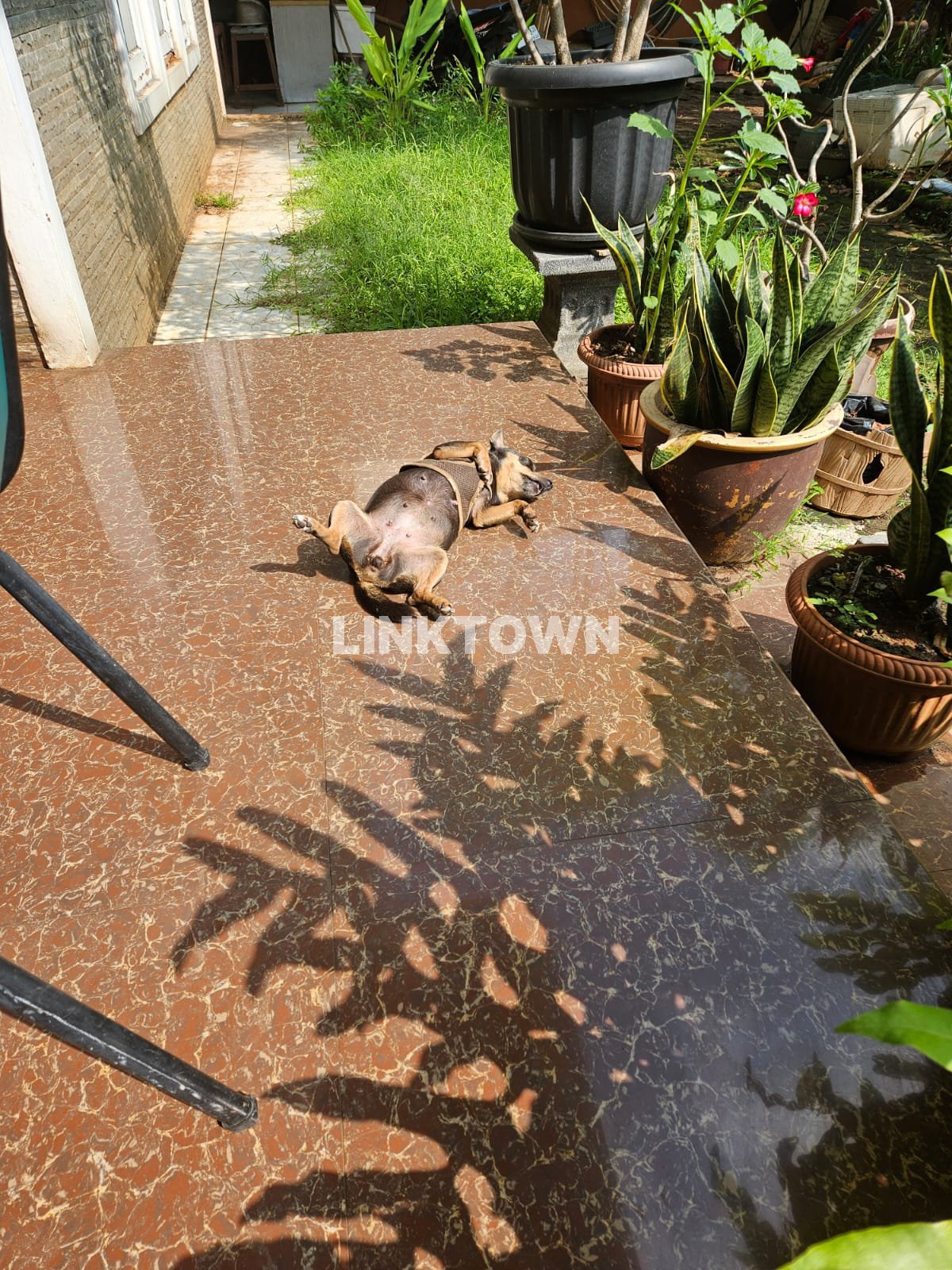 Dijual Rumah Luas Akses Strategis Di Jariwaringin Asri