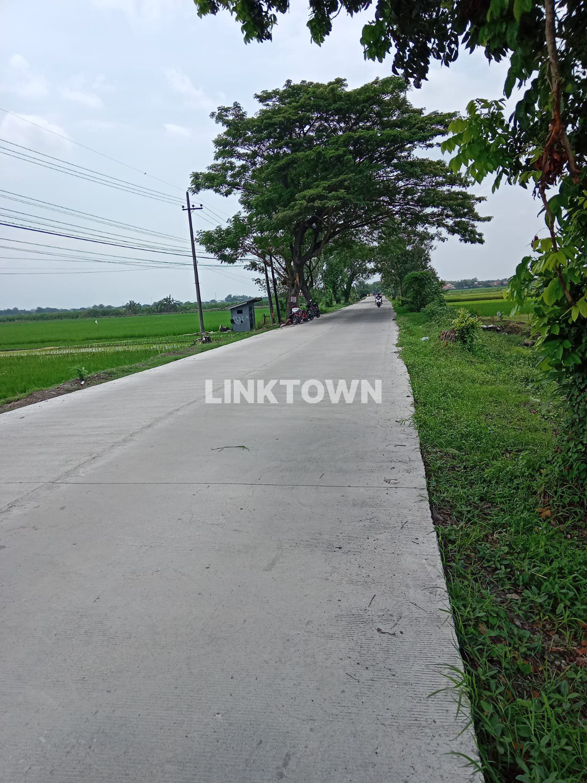 Dijual Tanah Bebas Banjir di Kawasan Kesamben Jombang
