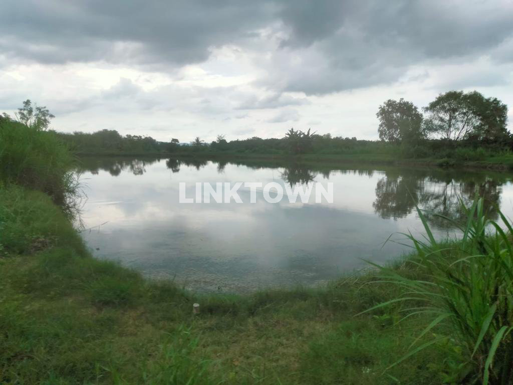 Dijual Tanah Tambak di Saronggi Sumenep Madura