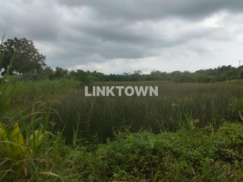 Dijual Tanah Tambak di Saronggi Sumenep Madura