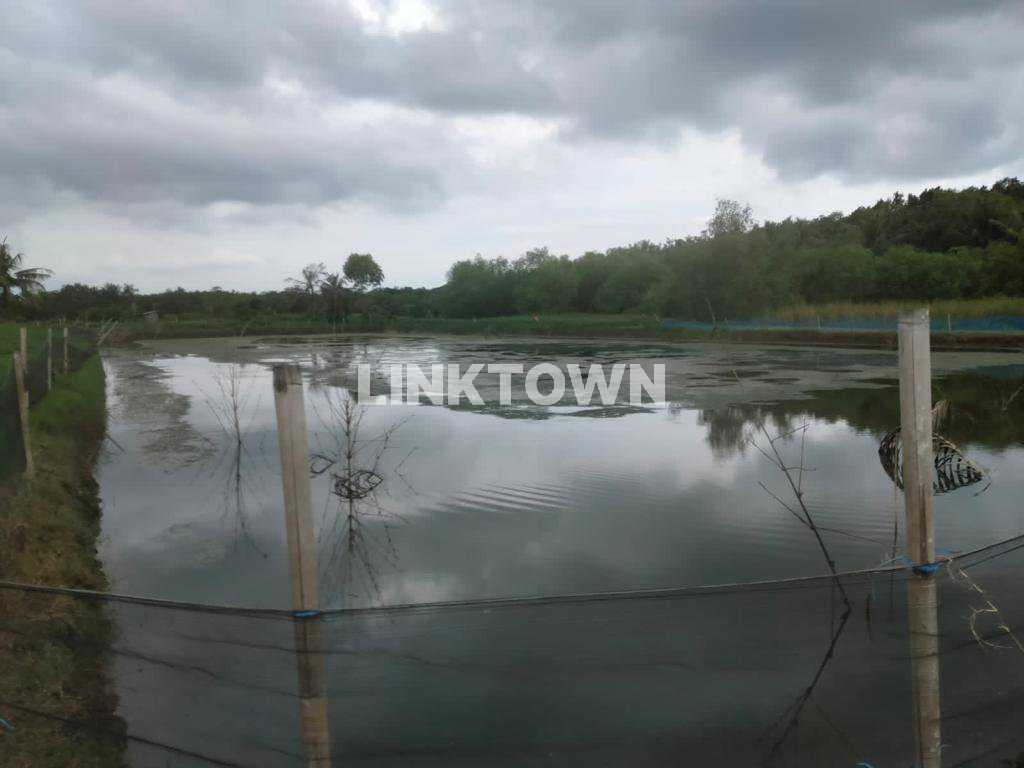 Dijual Tanah Tambak di Saronggi Sumenep Madura