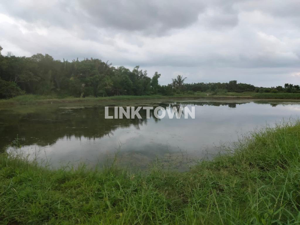 Dijual Tanah Tambak di Saronggi Sumenep Madura