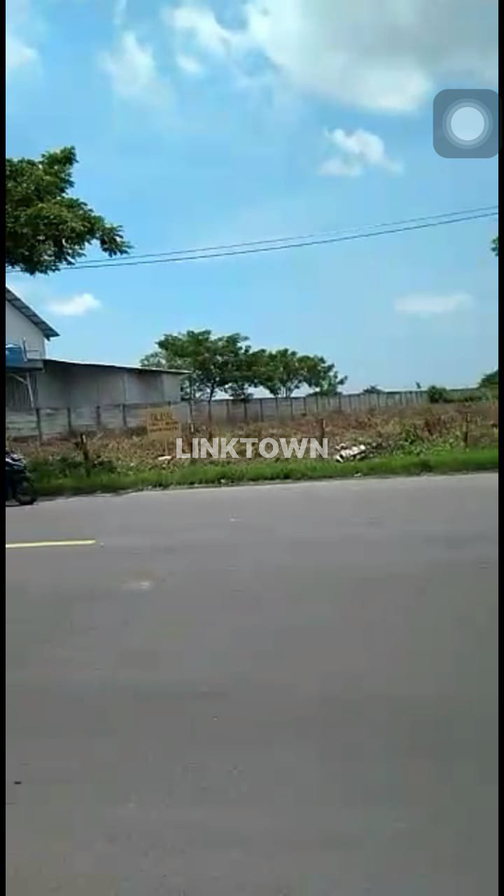 Dijual Tanah Zona Industri Cocok untuk Pergudangan di Widang Tuban