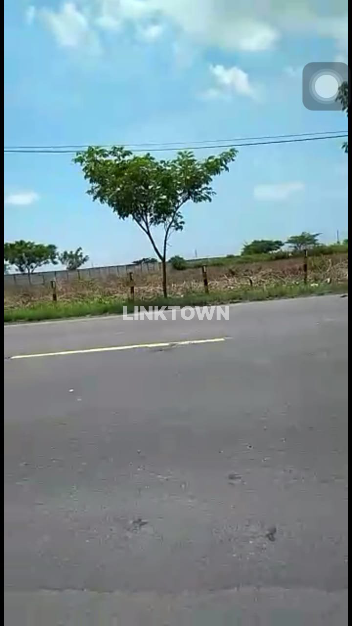 Dijual Tanah Industri Nego Nol Jalan Provinsi di Widang Tuban