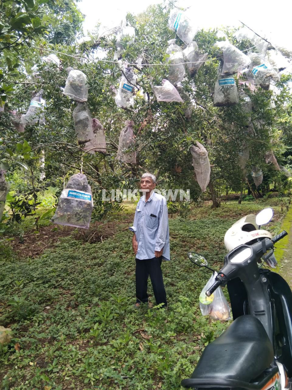 Harga Nego Tanah Perkebunan Strategis di Gunung Pati Semarang