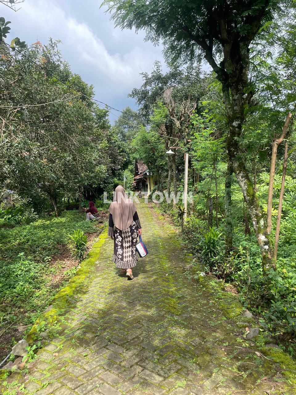 Harga Nego Tanah Perkebunan Strategis di Gunung Pati Semarang
