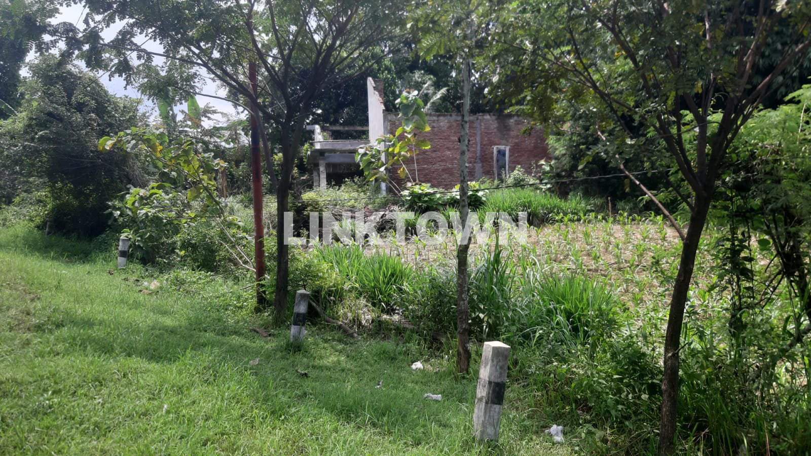 Dijual Tanah Lokasi Strategis Pinggir Jalan Provinsi di Mondokan Sumberlawang Sragen
