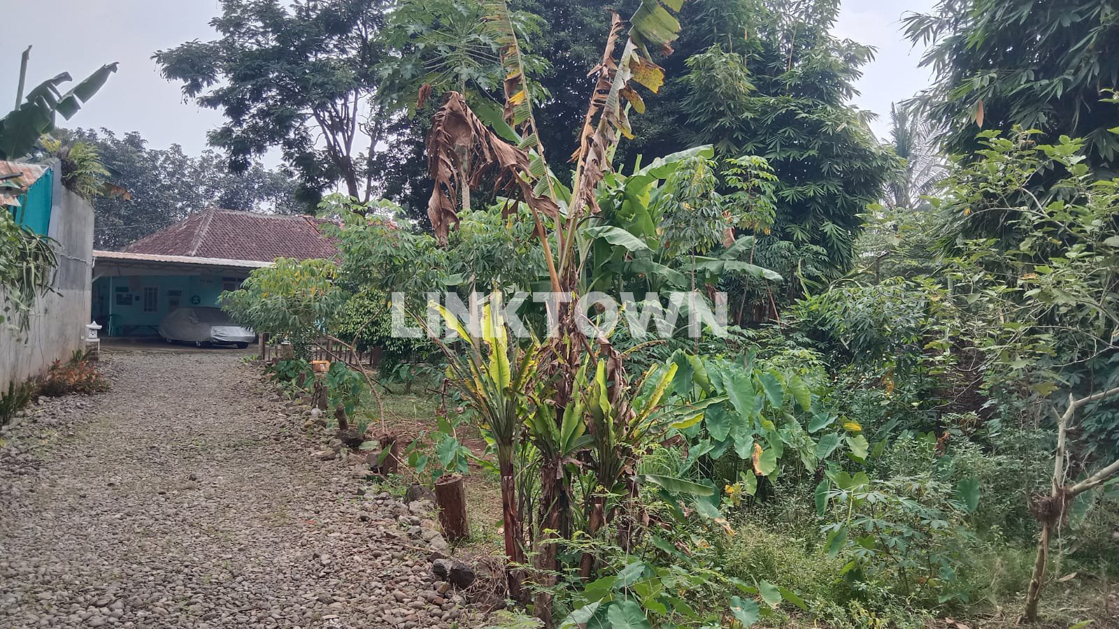 Dibawah Harga Pasar dan Nego Tanah dengan Bonus Rumah Lama di Ngaliyan Semarang Dekat Rsud Mijen