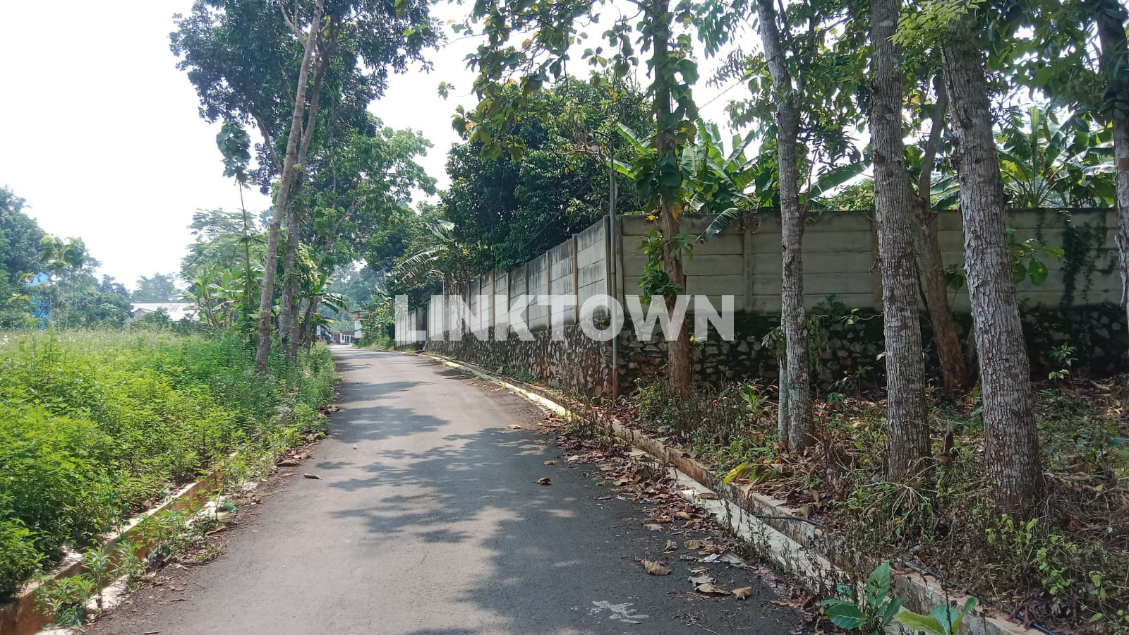 Nego Tanah Siap Bangun di Ngaliyan Semarang Cocok untuk Hunian, Villa atau Fasilitas Olahraga