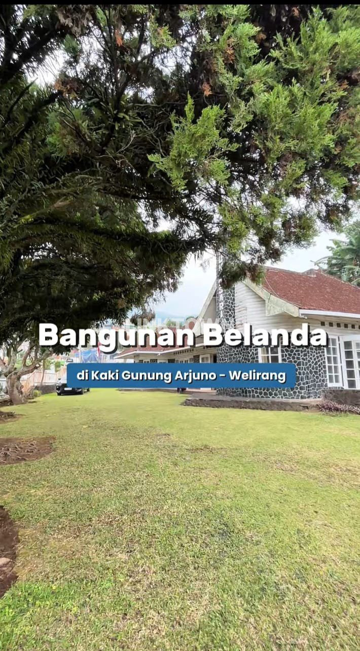 Disewakan Villa Bergaya Belanda di Kaki Gunung Welirang Pandaan Disewakan Villa Bergaya Belanda di Kaki Gunung Welirang Pandaan