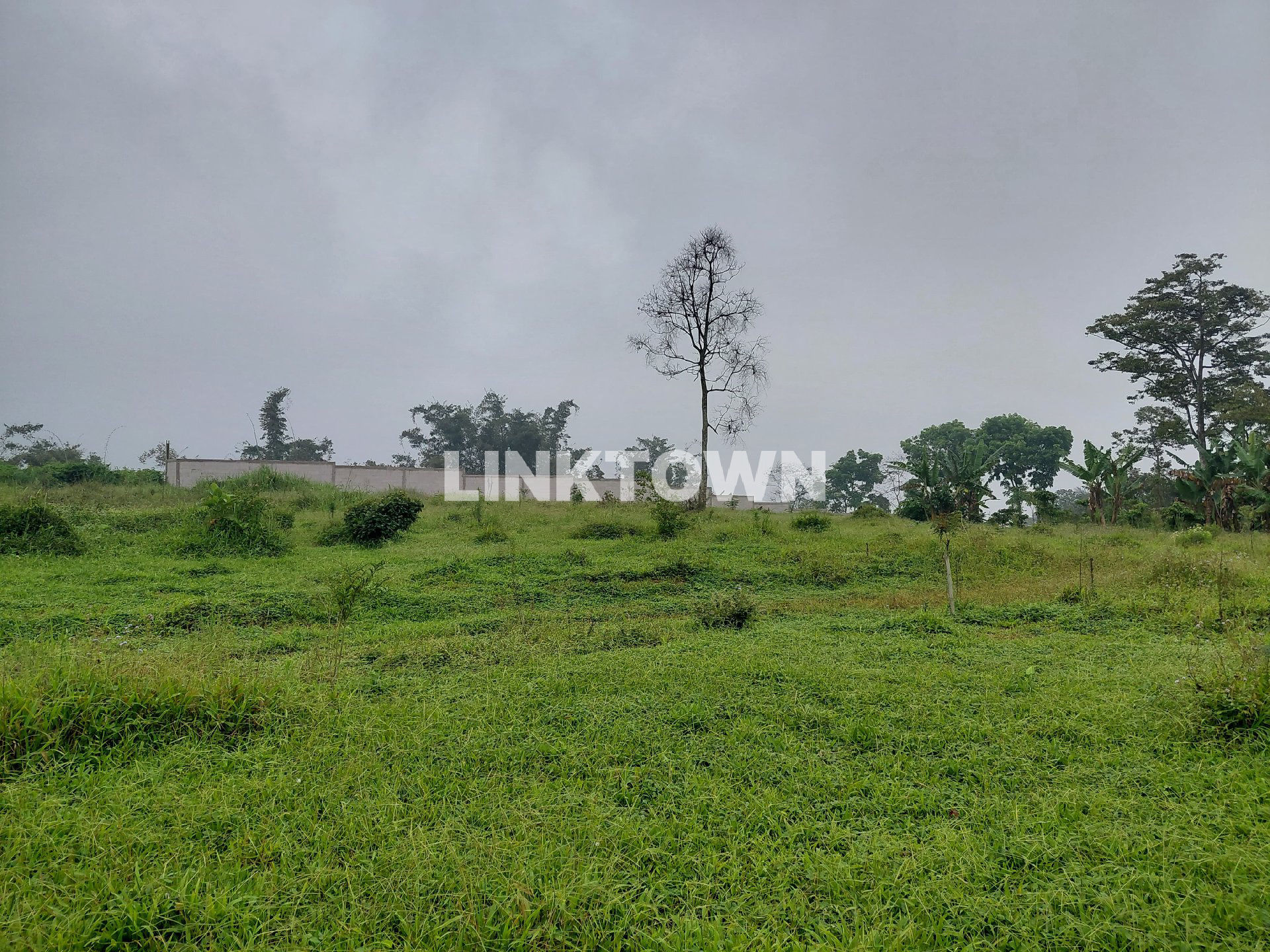 Dijual Tanah Kosong Strategis Cocok untuk Villa di Lawang Malang